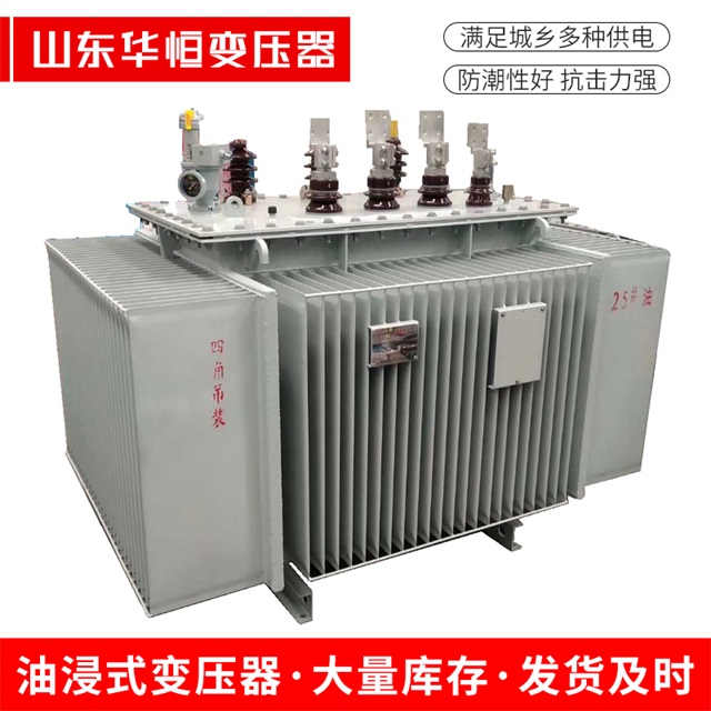 S13-10000/35长洲长洲长洲电力变压器厂家
